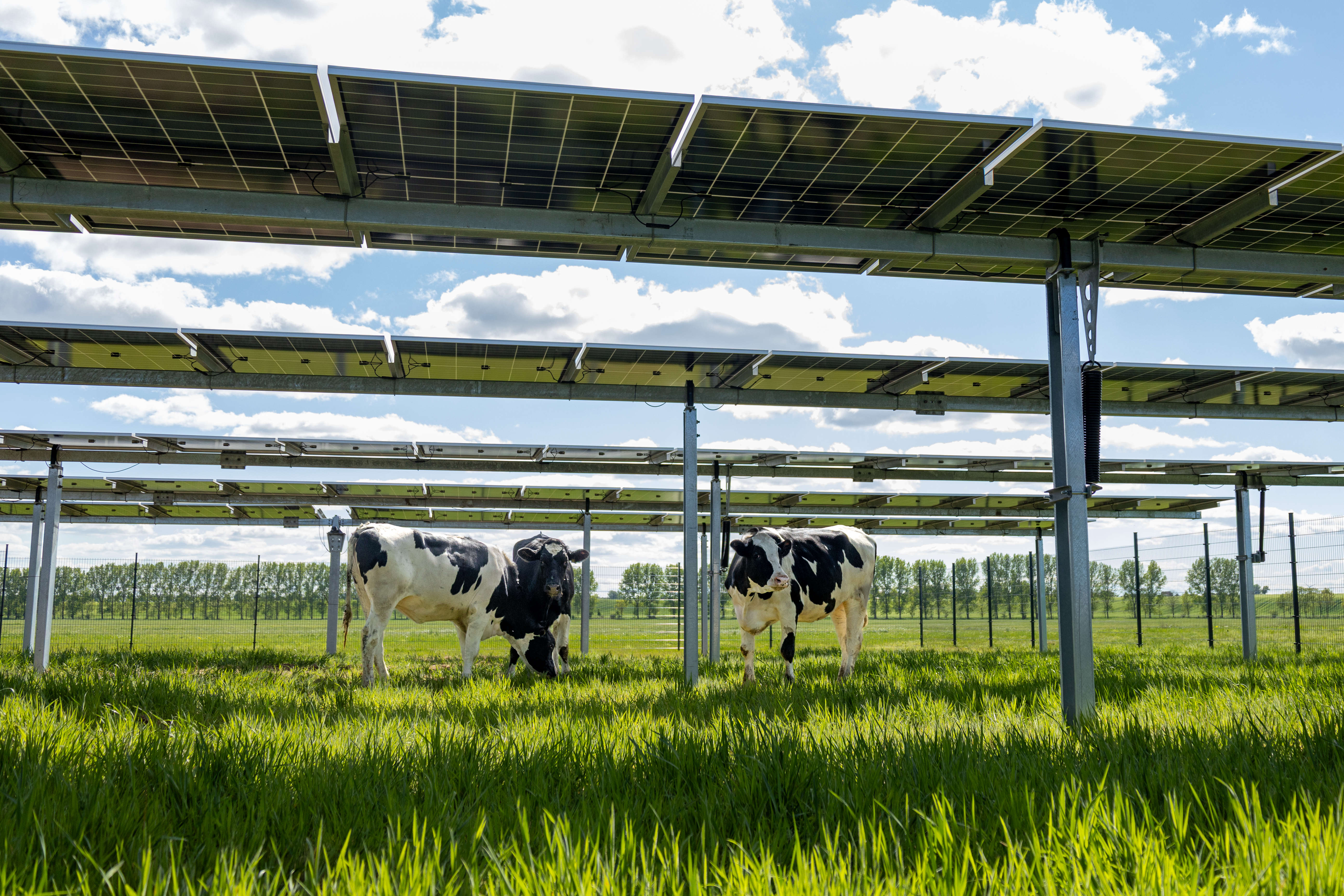 Agri-PV Projekt hero-14.jpg