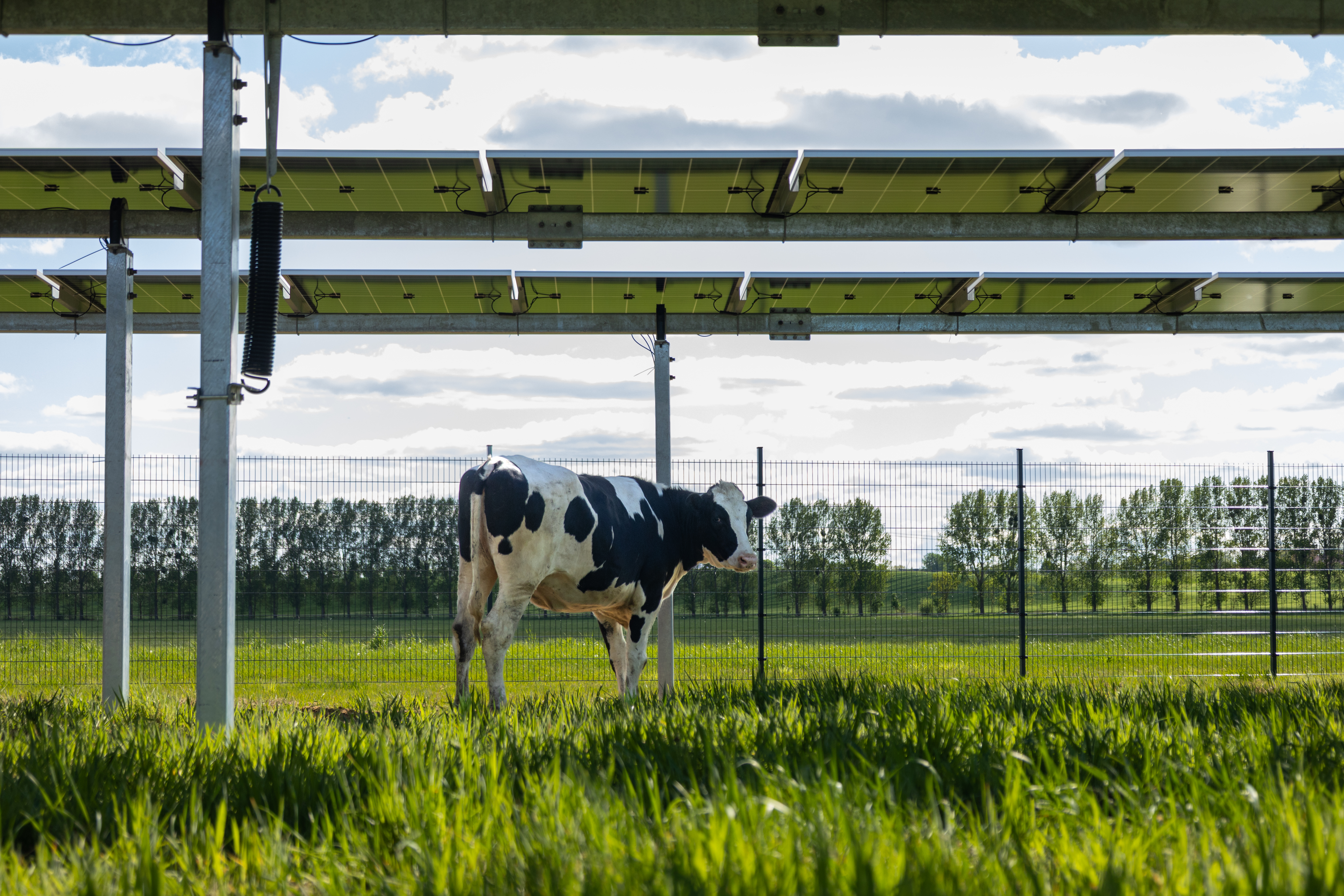 Agri-PV Projekt hero-16.jpg