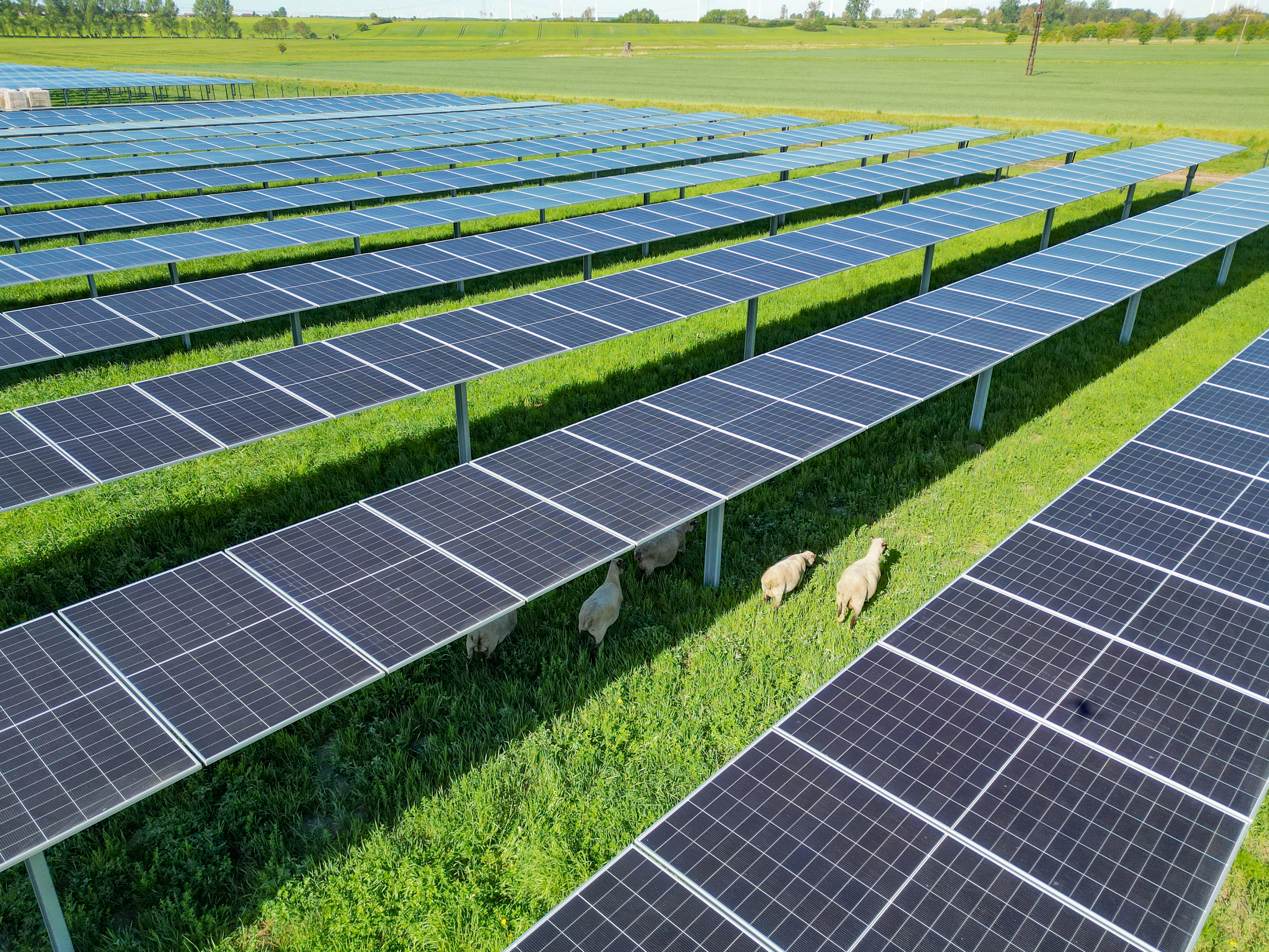 Glossar - Agri-Photovoltaik Begriffe
