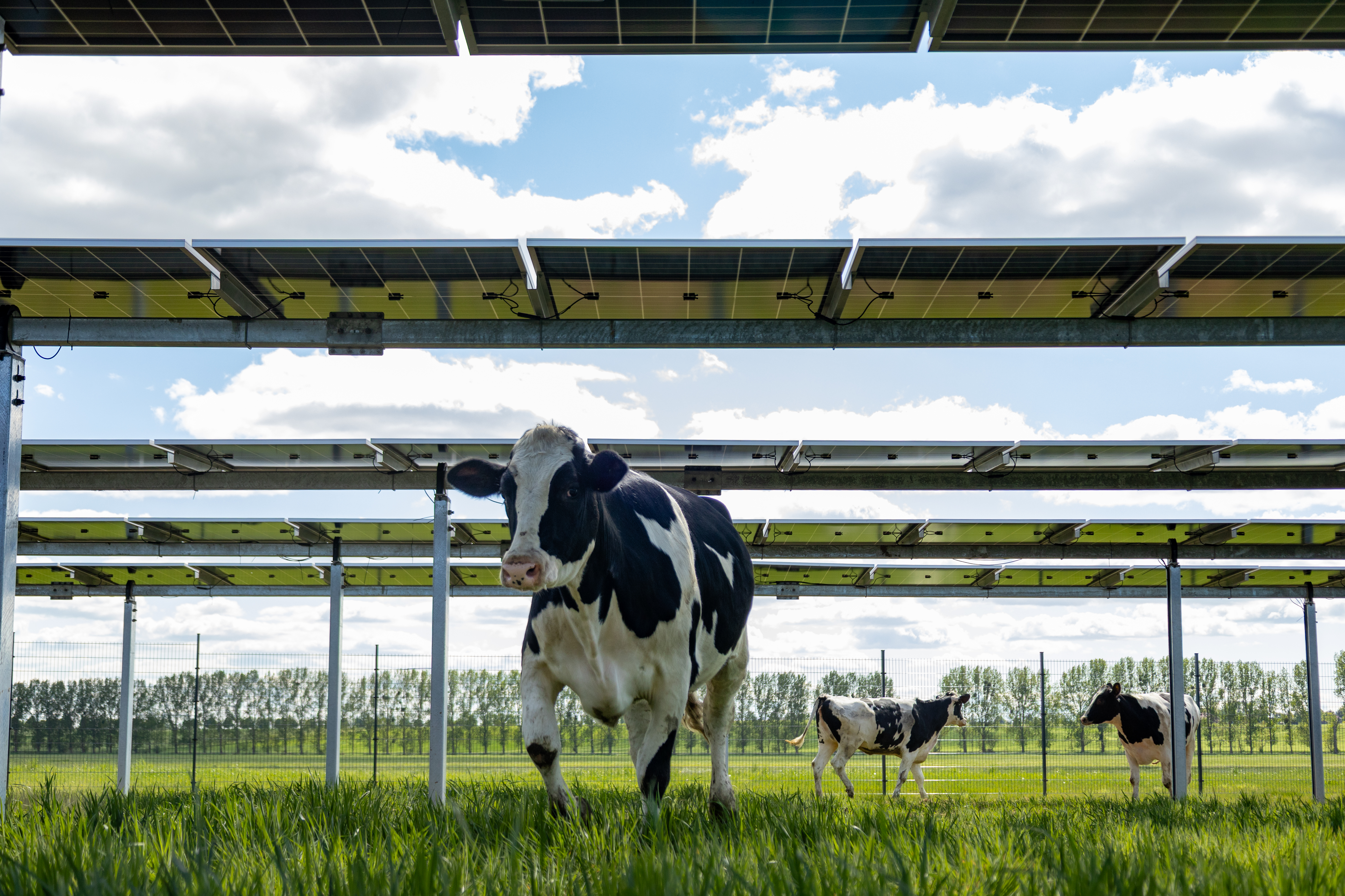 Kontakt aufnehmen - Agri-Photovoltaik Beratung