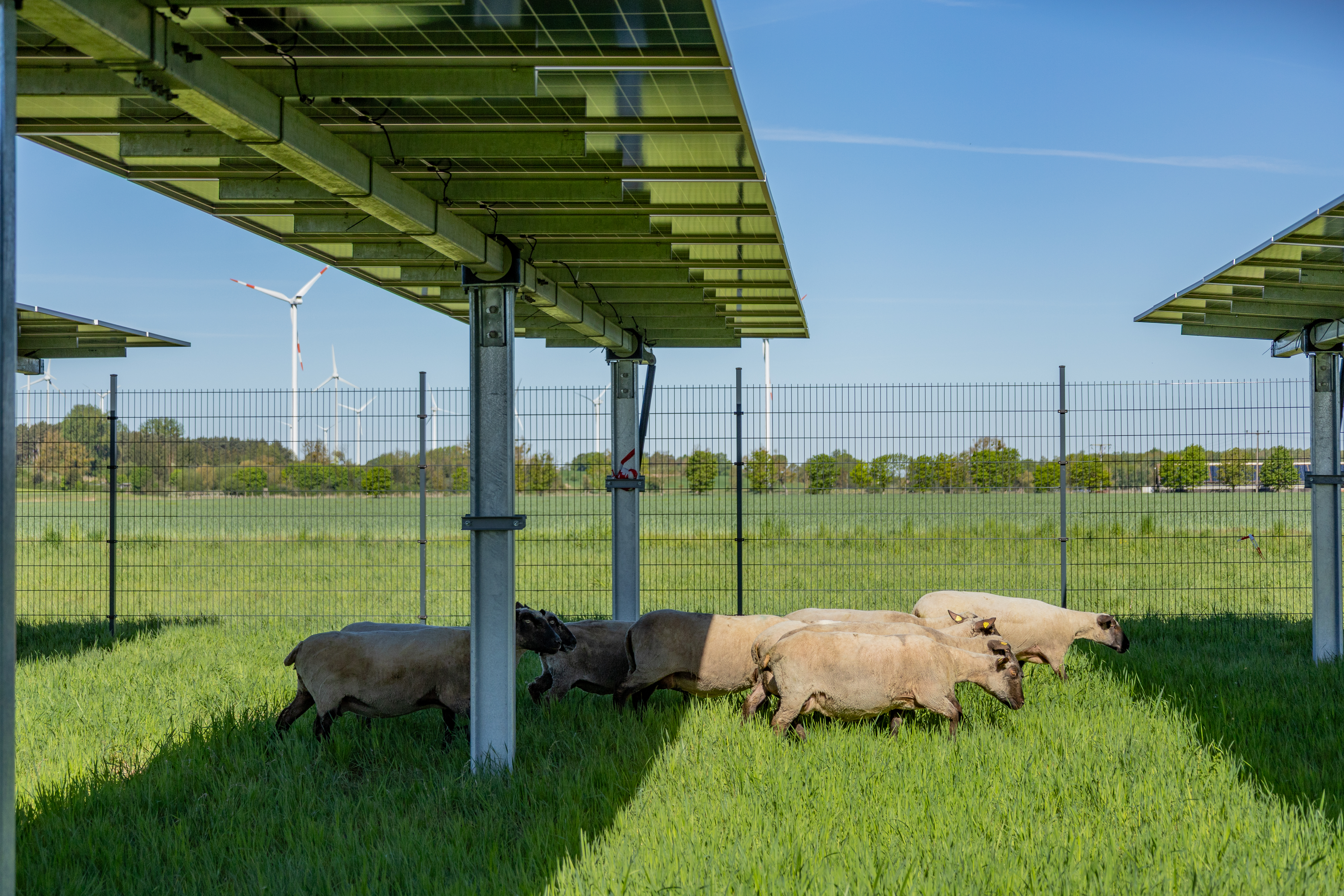 Agri-PV Projekte