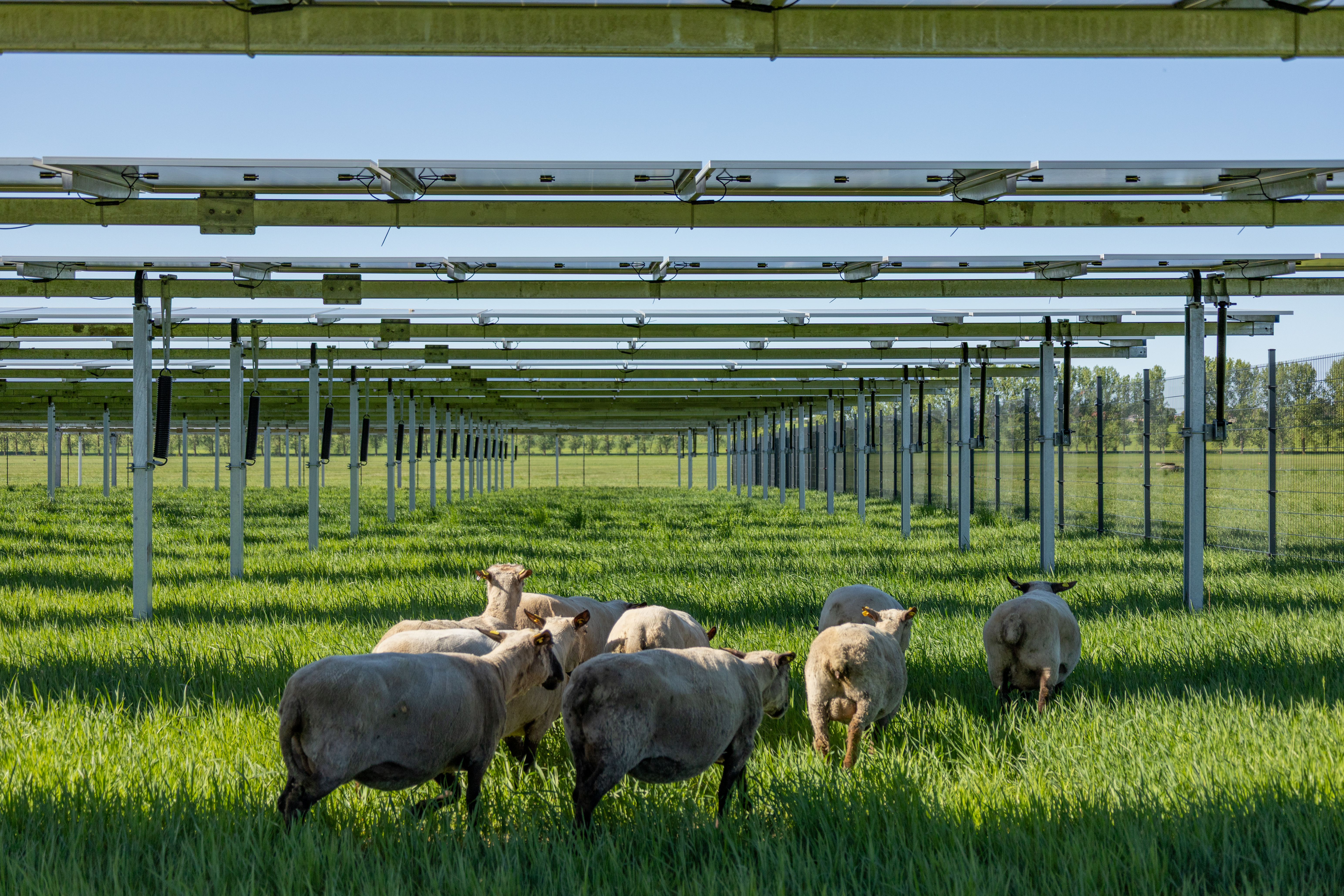 Glossar - Agri-Photovoltaik Begriffe