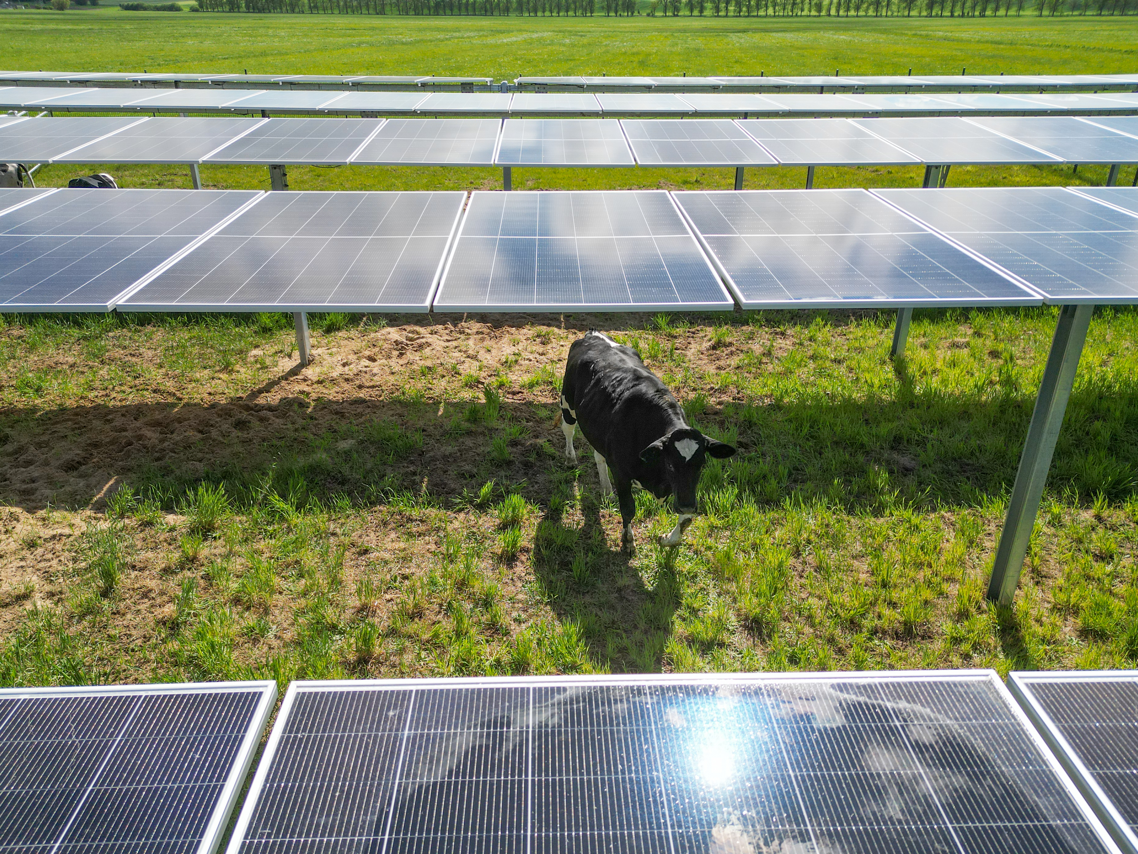Agri-Photovoltaik 3