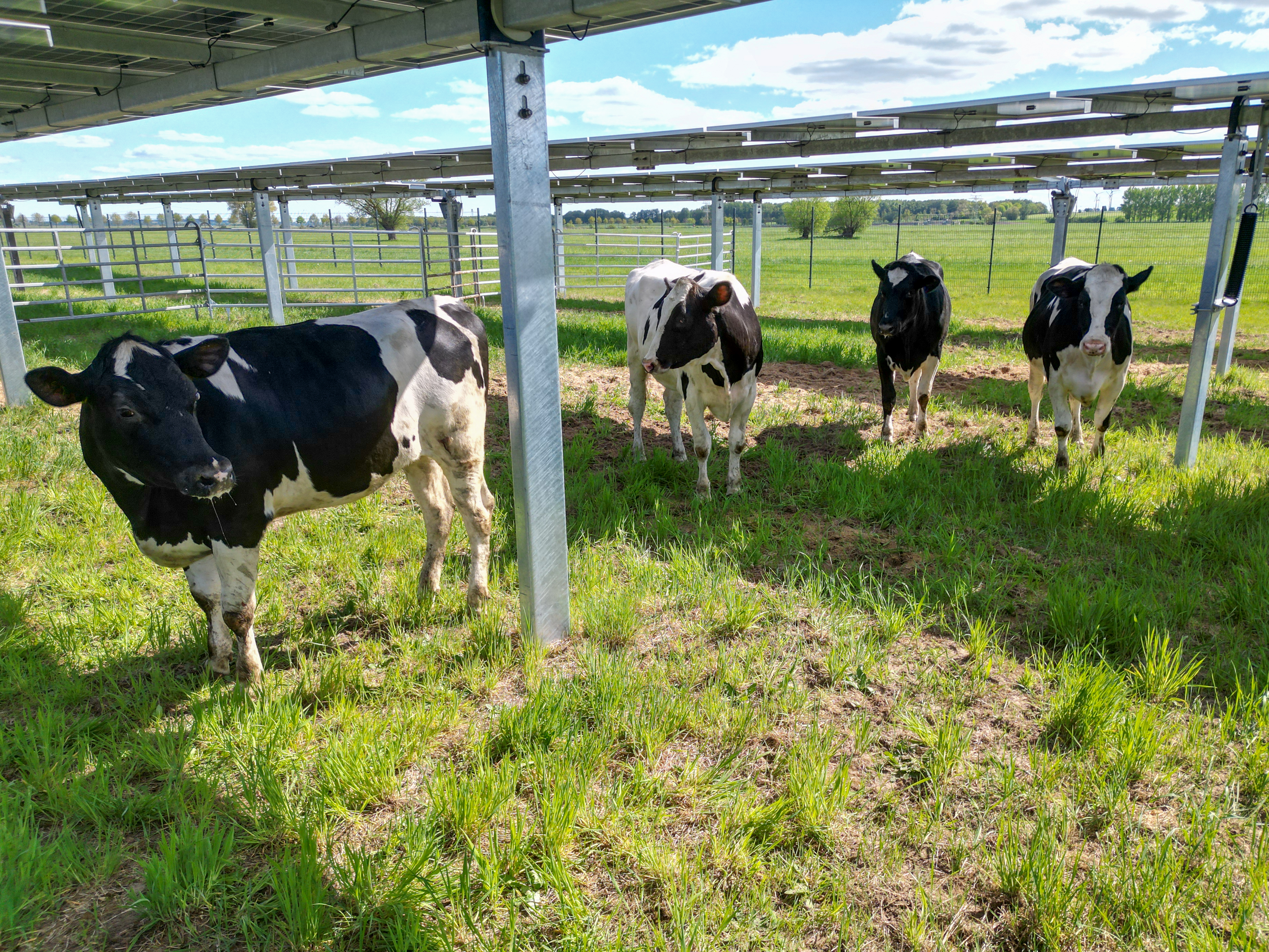 Kontakt aufnehmen - Agri-Photovoltaik Beratung