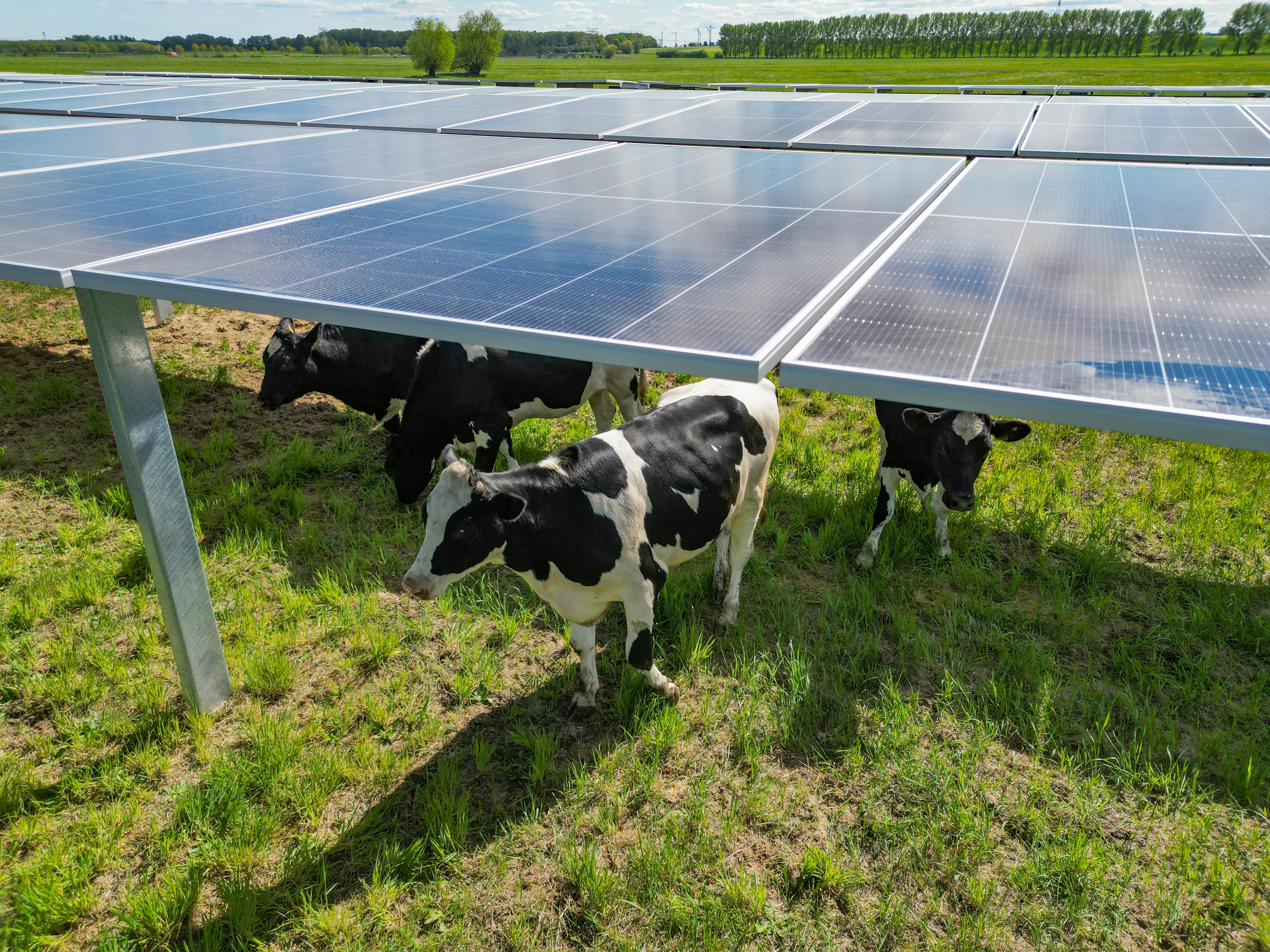 Förderung & Recht - Agri-Photovoltaik